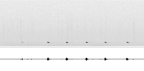 Sonogram