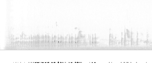 Sonogram
