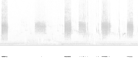 Sonogram av lokkelyd