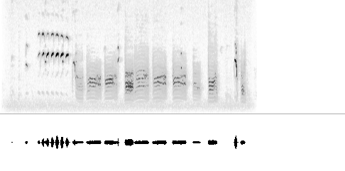 Sonogram