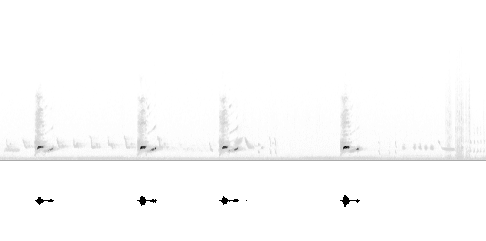 Sonogram