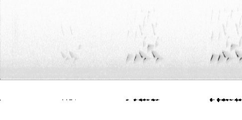 Sonogram