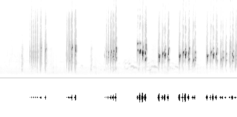 Sonogram av sang