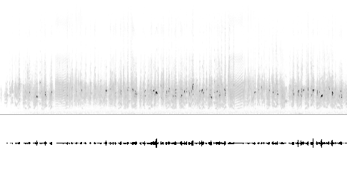Sonogram av varsellyd