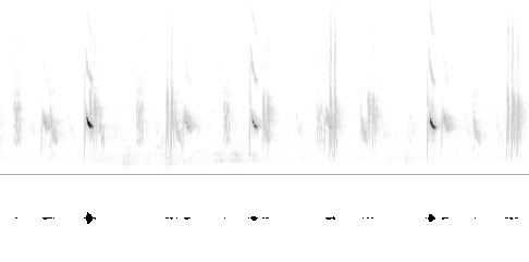 Sonogram