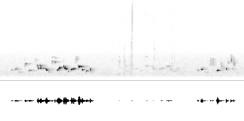 Sonogram