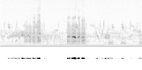 Sonogram