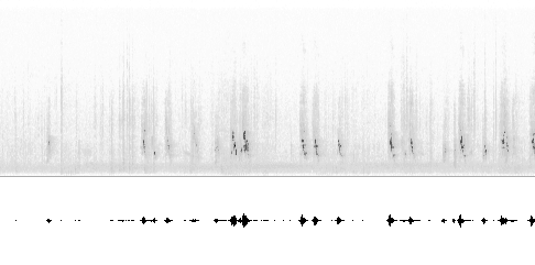 Sonogram