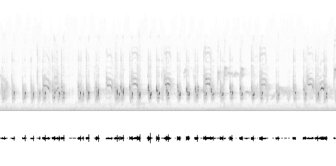 Sonogram