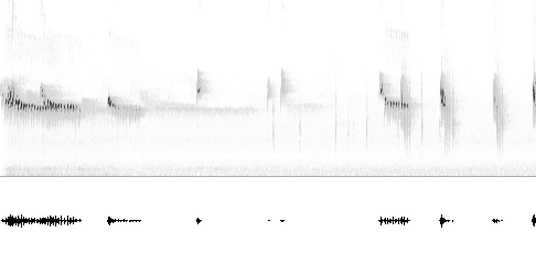 Sonogram av varsellyd