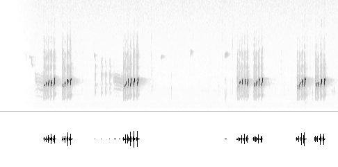Sonogram