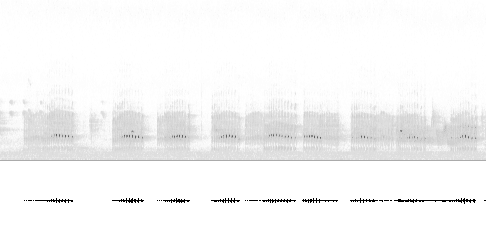 Sonogram